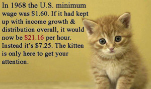 Minimum Wage Kitten